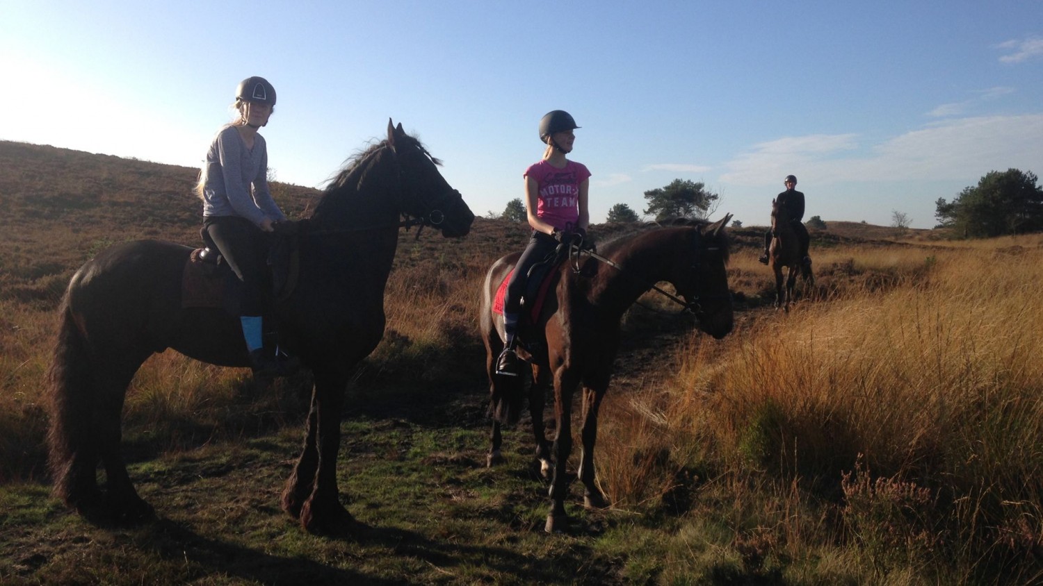 Veluwetrail ruiterroute vanaf Vierhouten vakantiehuisje