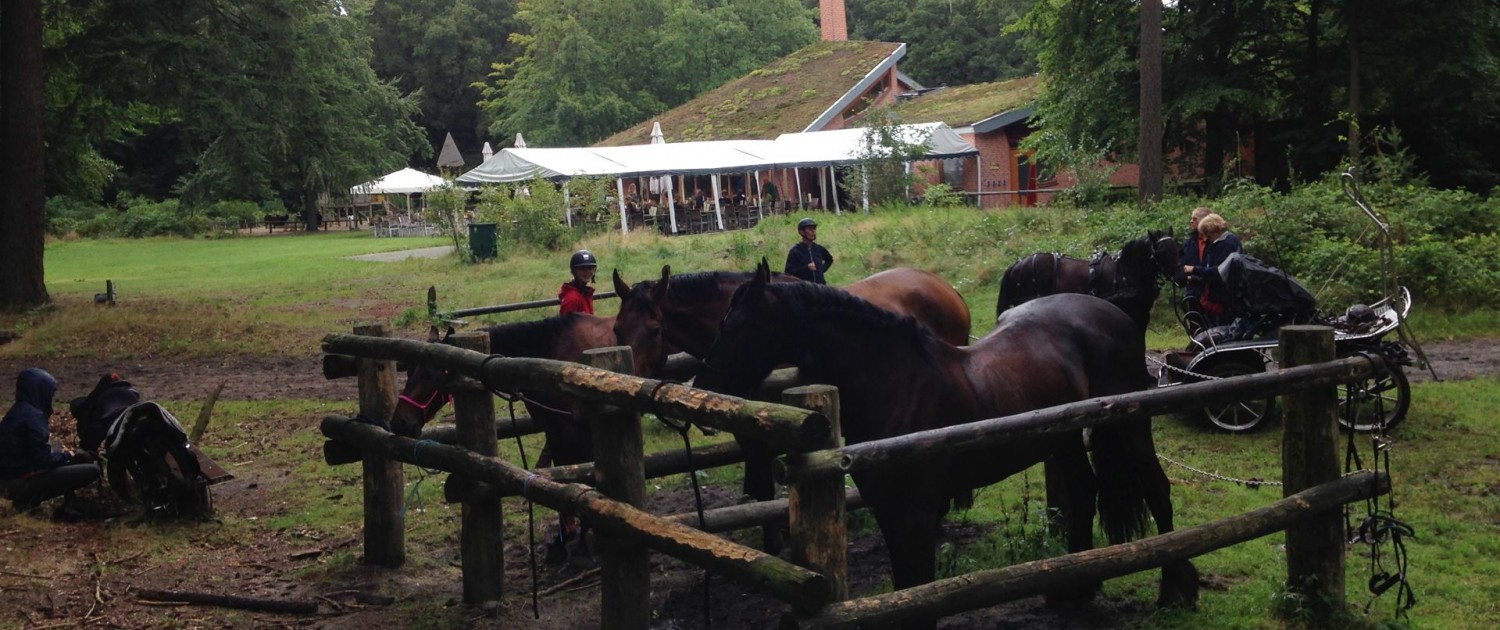 buitenrit vanaf Vierhouten pannekoeken restaurant De Ossenstal