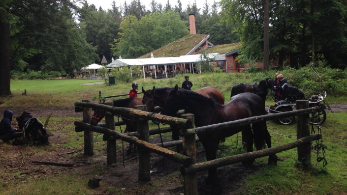 buitenrit vanaf Vierhouten pannekoeken restaurant De Ossenstal