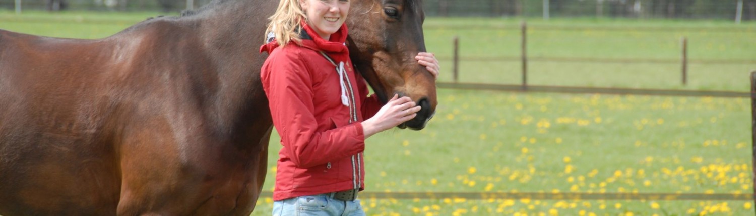 buitenvakantie paarden Veluwe Nederland