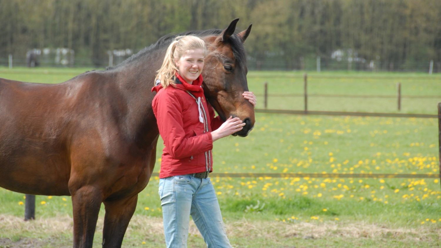 buitenvakantie paarden Veluwe Nederland