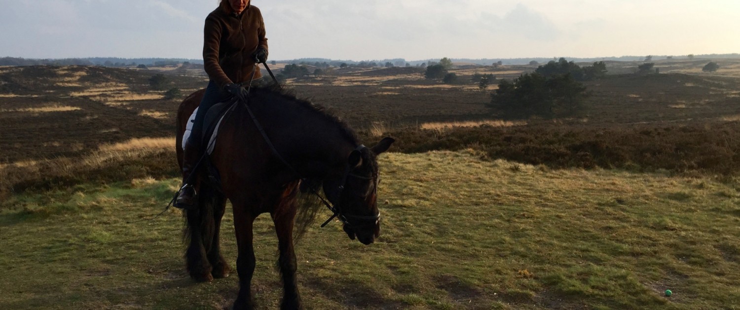 buitenrit van vakantiehuisje Veluwe Nederland