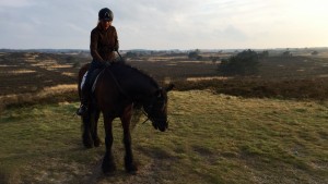 buitenrit van vakantiehuisje Veluwe Nederland