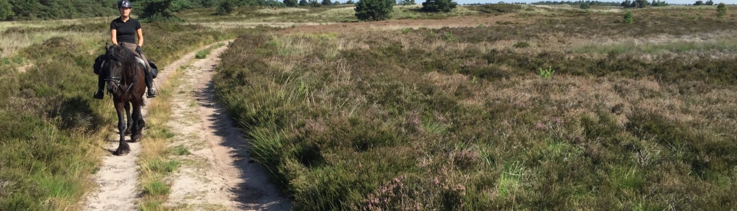 Veluwe route te Paard vanuit vakantiehuisje