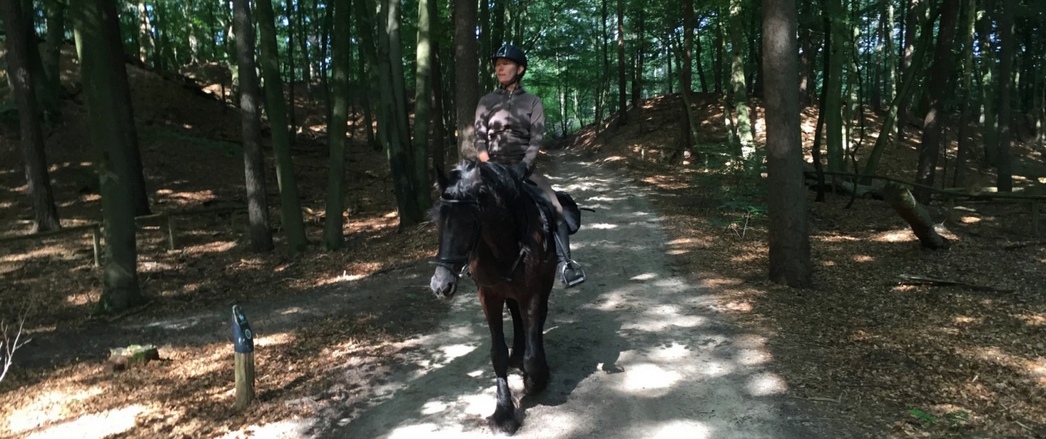 buitenrit Leuvenumsebos Roode Koper Vierhouten