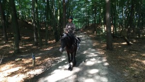 buitenrit Leuvenumsebos Roode Koper Vierhouten