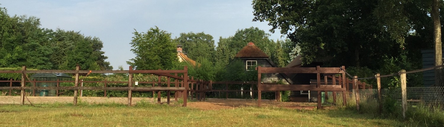 paardenbak rijbak vakantie Paarden pony vakantie