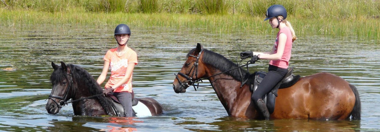 buitenrit vanuit vakantiehuisje buiten op de Veluwe