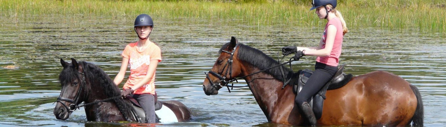 buitenrit vanuit vakantiehuisje buiten op de Veluwe