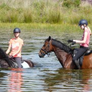 buitenrit vanuit vakantiehuisje buiten op de Veluwe