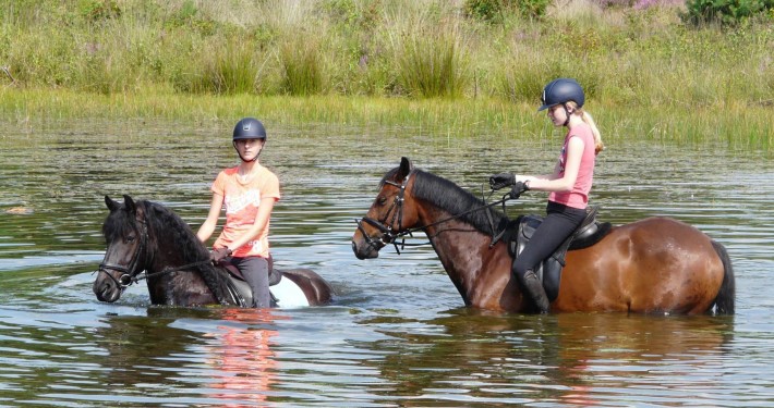 buitenrit vanuit vakantiehuisje buiten op de Veluwe