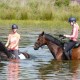 buitenrit vanuit vakantiehuisje buiten op de Veluwe