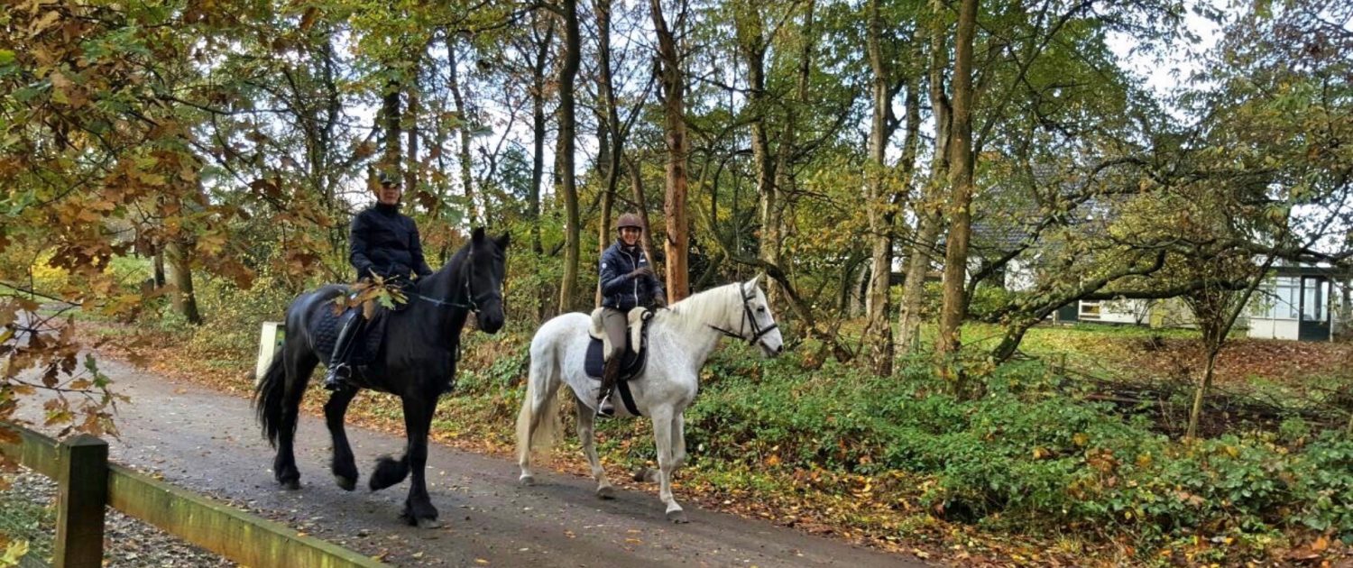 Buitenrijden op de Veluwe na de St Hubertusrit vanuit Epe